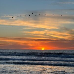 Meet your Posher, Jandi